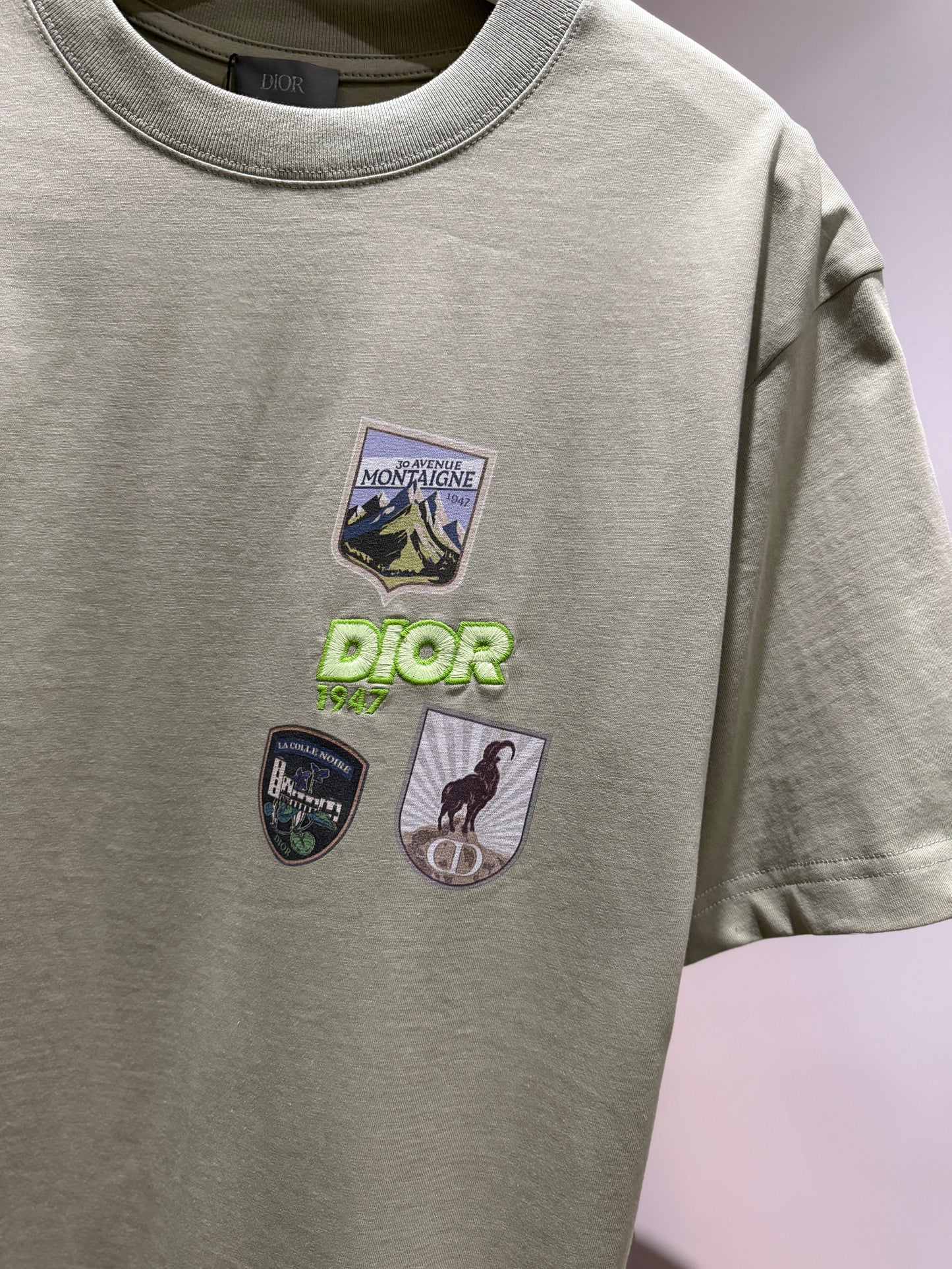 Dior Mountain Relaxed Fit T-Shirt (Sage)