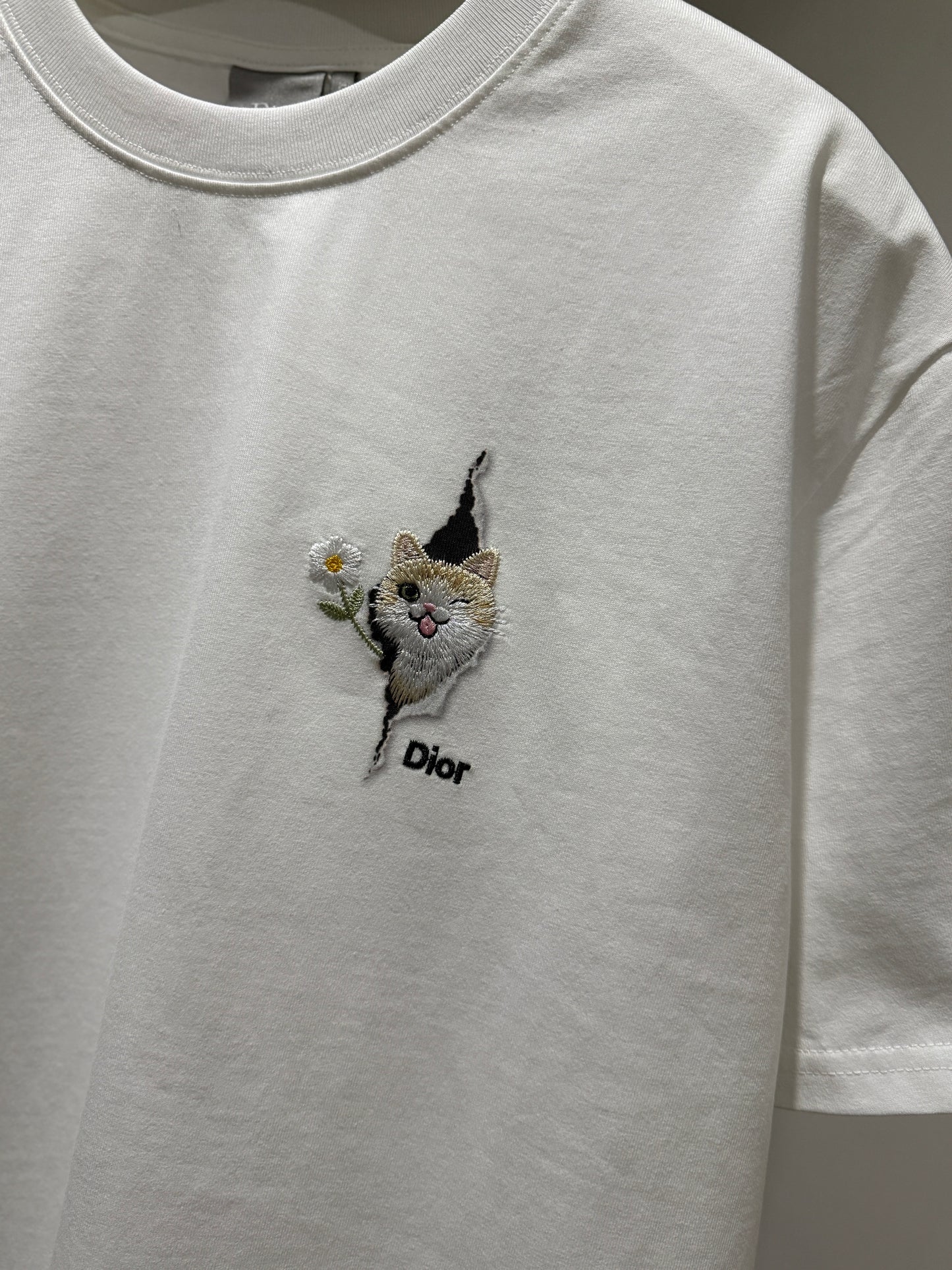 Dior Relaxed-fit T-Shirt (White)