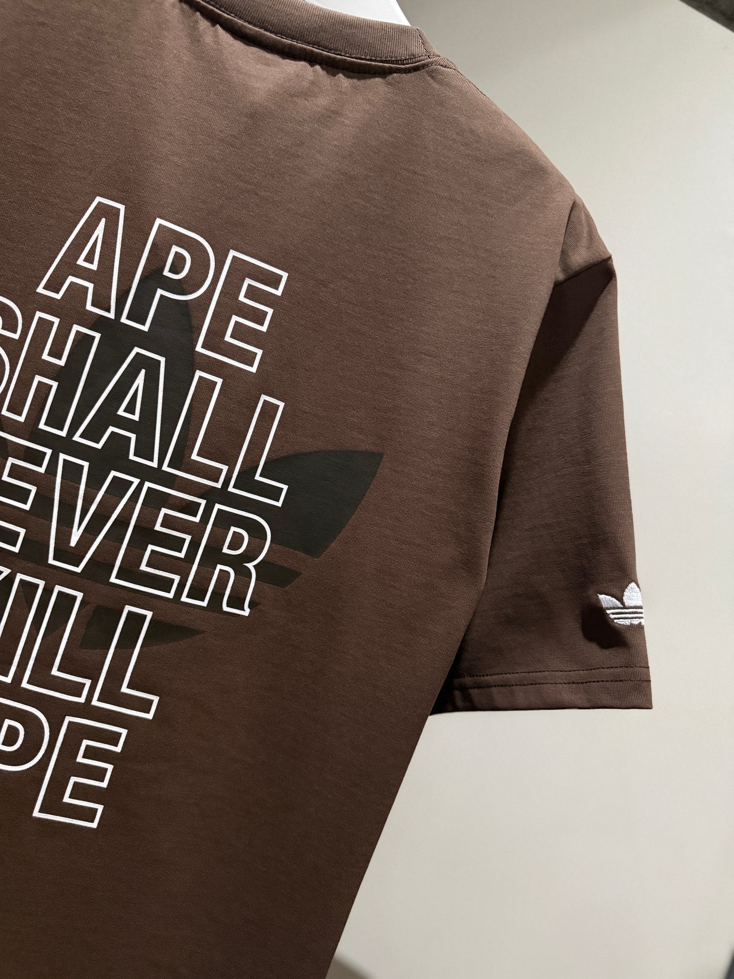 BAPE x Adidas Tee (Brown)