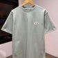 Dior CD Icon Relaxed Fit T-Shirt (Light Olive)