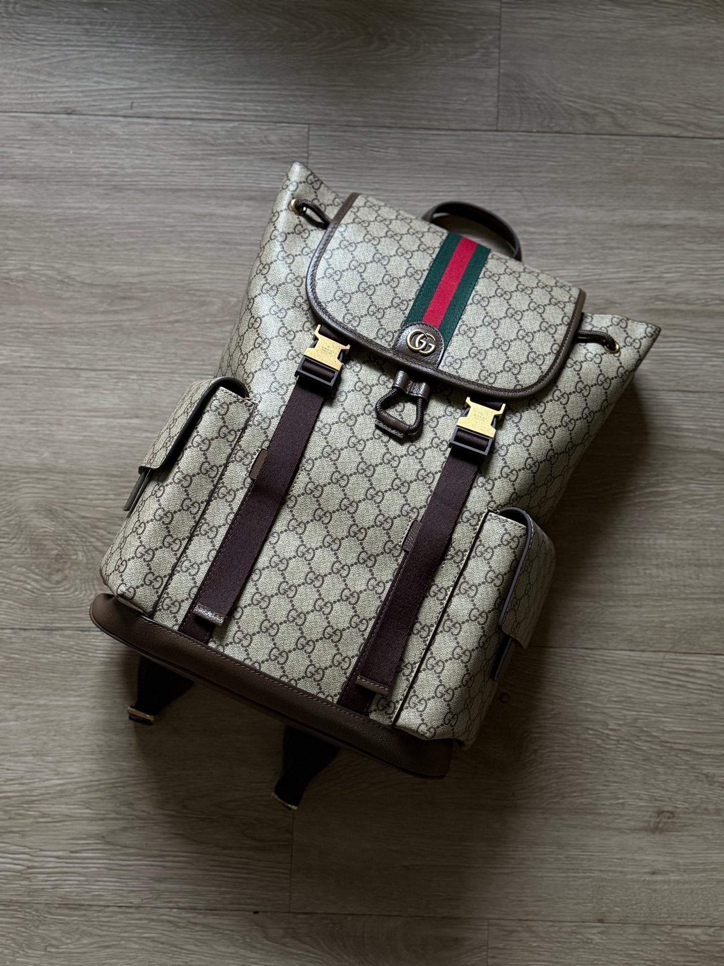 Gucci Ophidia Backpack