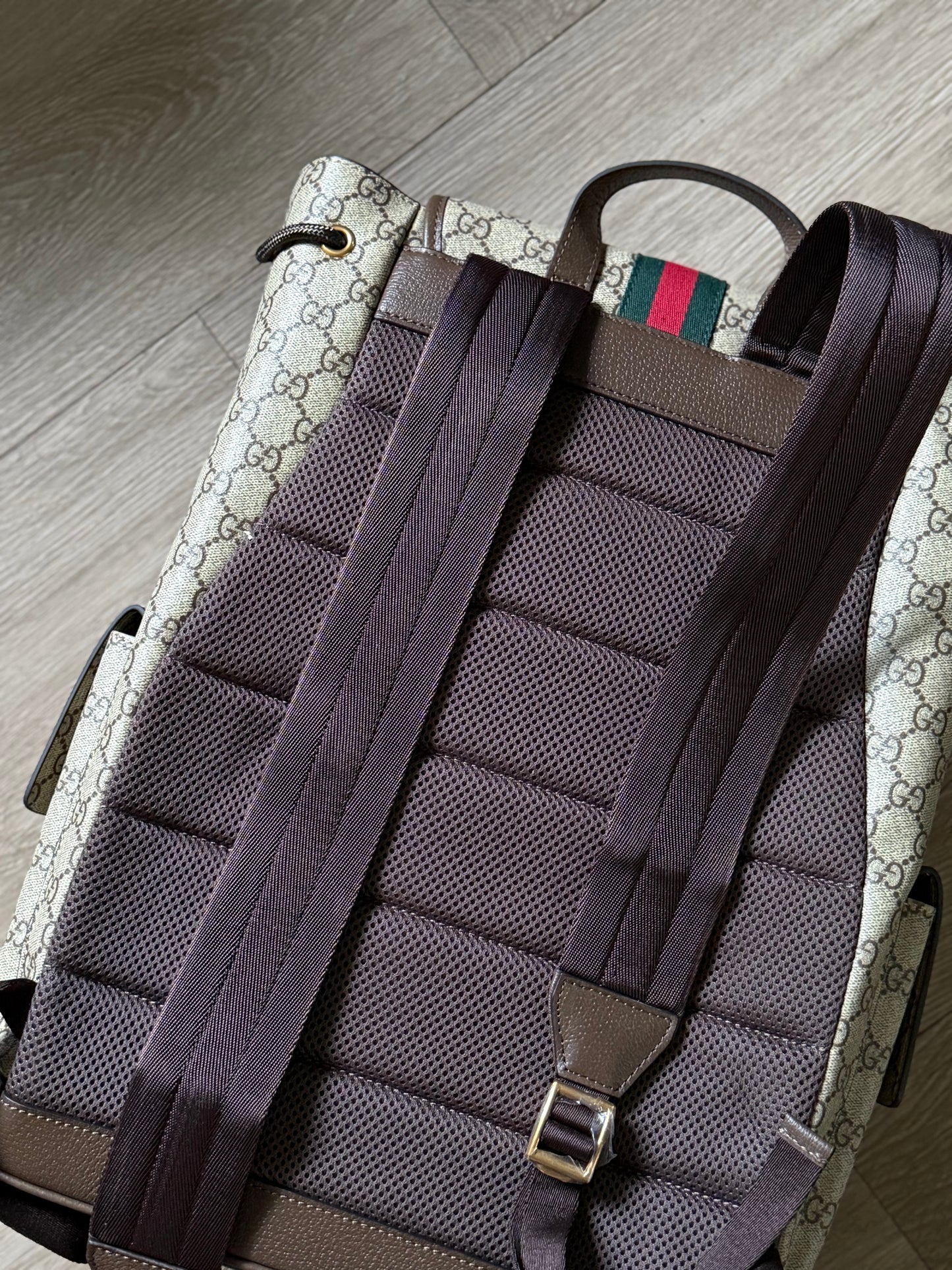 Gucci Ophidia Backpack