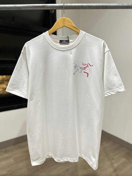 Arc'teryx Kragg Cotton Heatmap T-Shirt