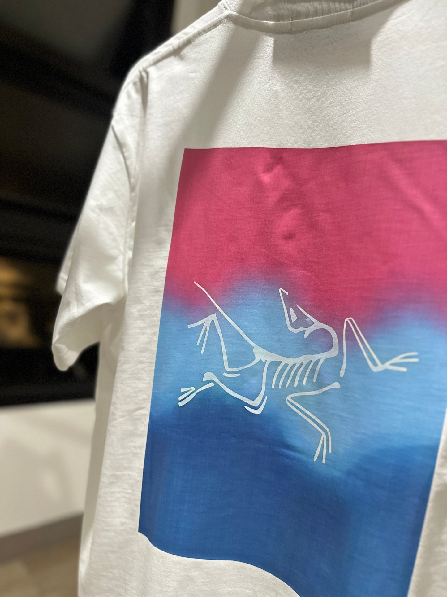 Arc'teryx Kragg Cotton Heatmap T-Shirt