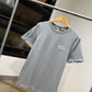 Dior CD Icon T-Shirt (Heather Gray)