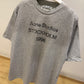 Acne Studios Sprayed Logo T-Shirt (Gray)