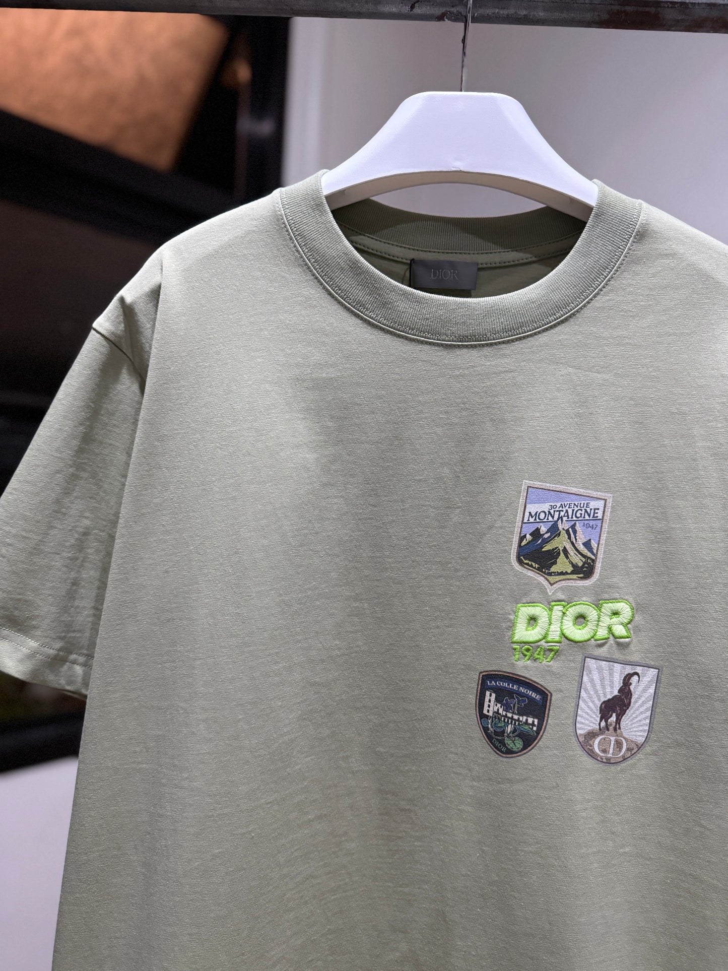 Dior Mountain Relaxed Fit T-Shirt (Sage)