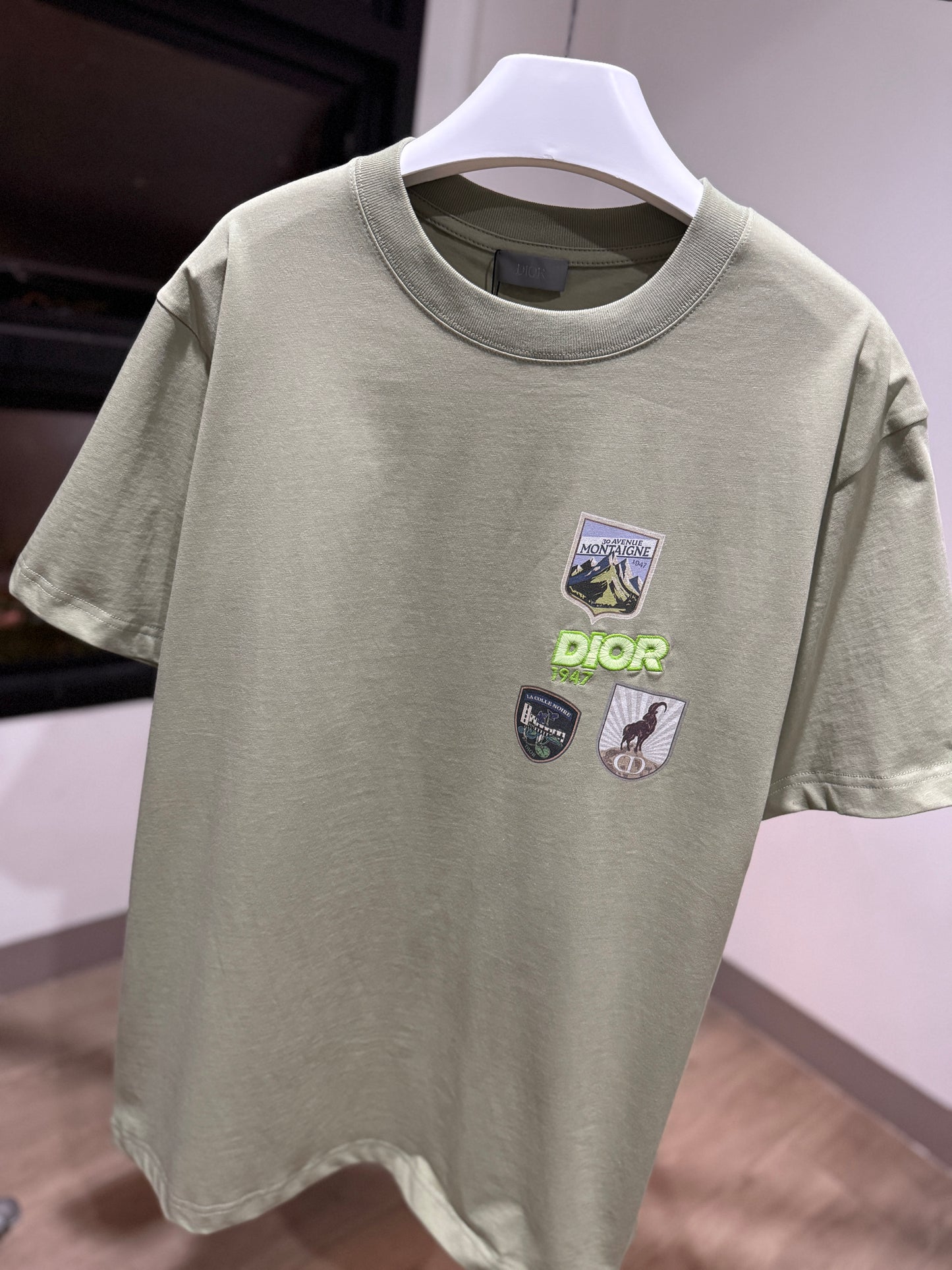 Dior Mountain Relaxed Fit T-Shirt (Sage)