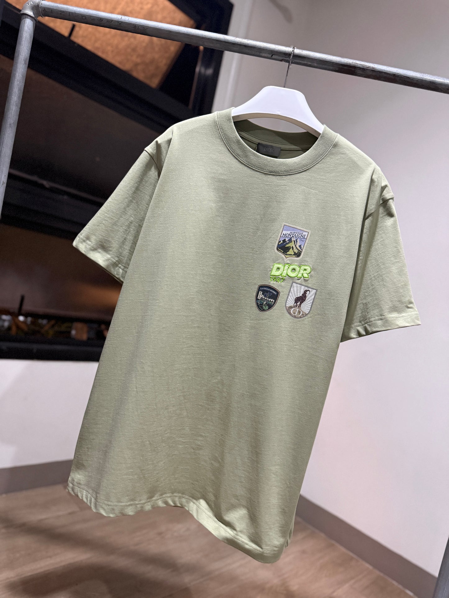 Dior Mountain Relaxed Fit T-Shirt (Sage)