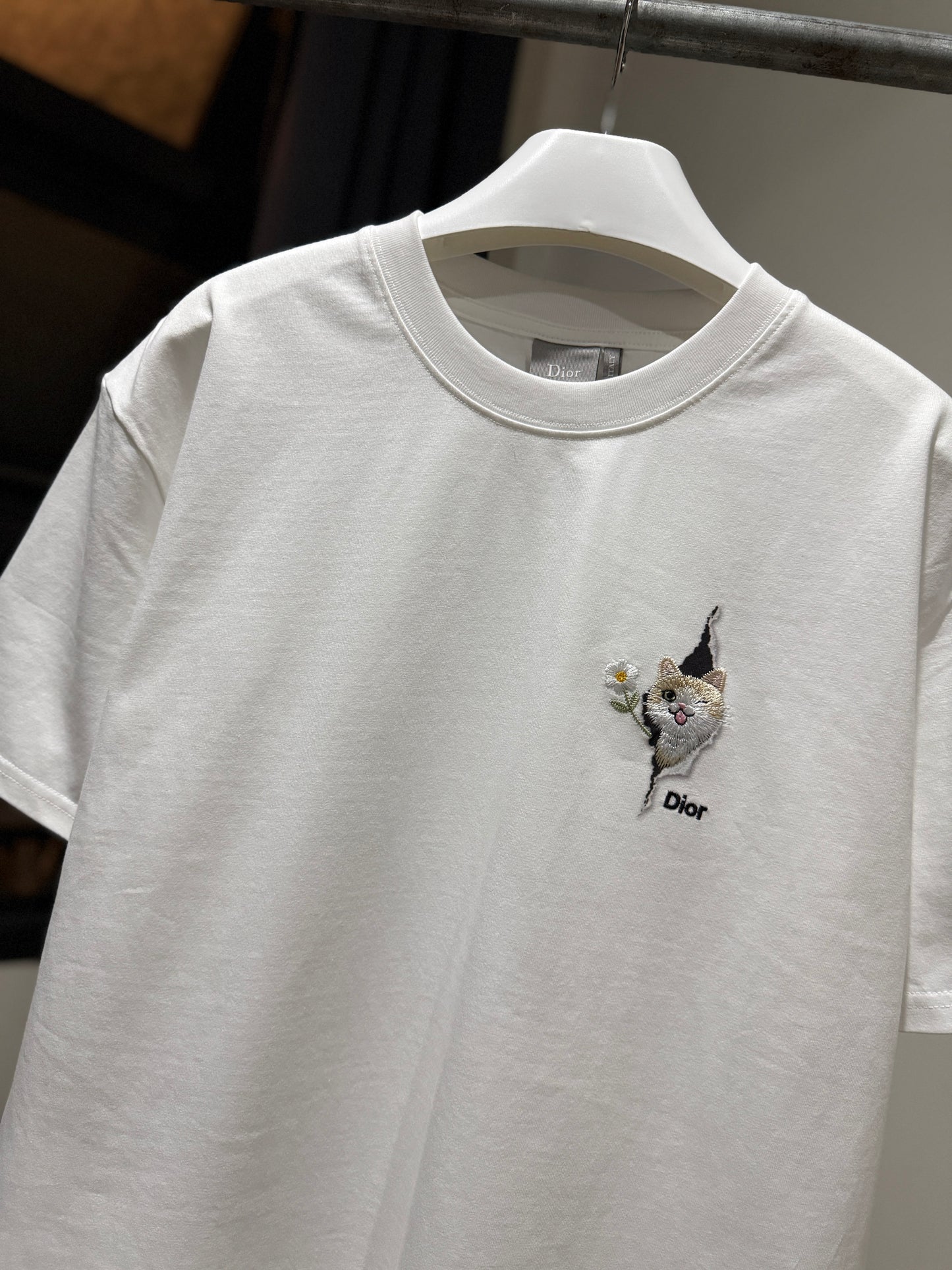 Dior Relaxed-fit T-Shirt (White)