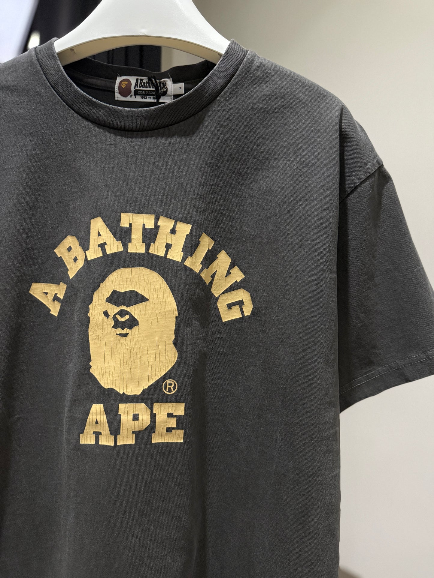 BAPE Overdye College Relaxed FIt Tee (Gray)